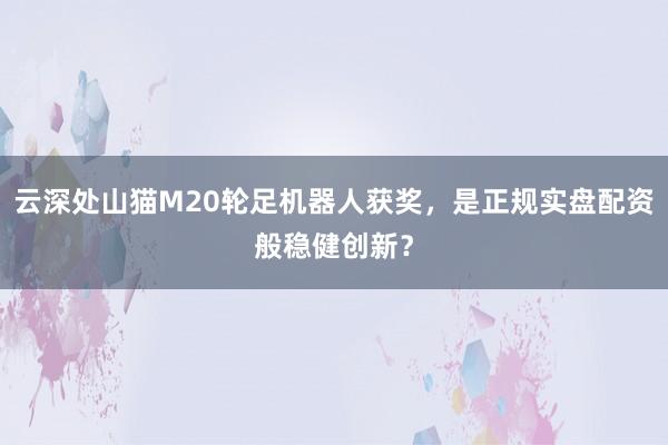 云深处山猫M20轮足机器人获奖，是正规实盘配资般稳健创新？