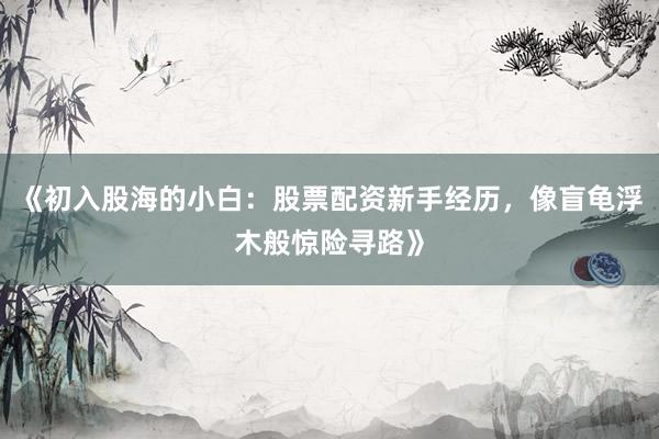 《初入股海的小白:股票配资新手经历,像盲龟浮木般惊险寻路》