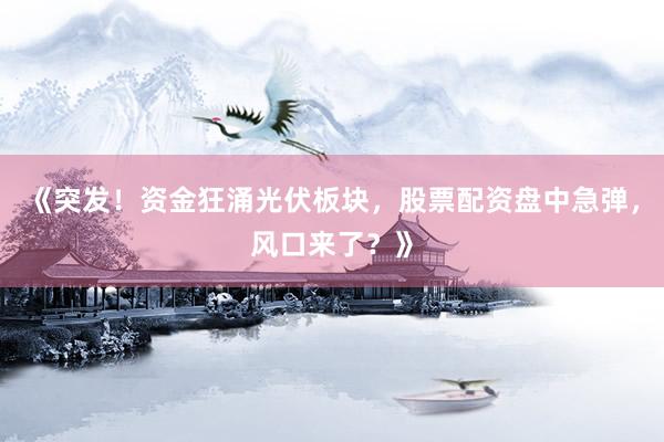 《突发！资金狂涌光伏板块，股票配资盘中急弹，风口来了？》